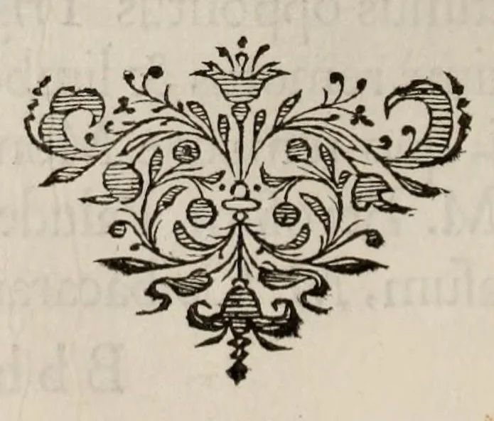 An illustration from Johannis Hevelii Selenographia, sive, Lunae descriptio : atque accurata, tam macularum ejus, quam motuum diversorum, aliarumque omnium vicissitudinum, phasiumque, telescopii ope deprehensarum, delineatio in quâ simul caeterorum omnium planetarum nativa facies, variaeque observationes, praesertim autem macularum solarium, atque jovialium, tubospicillo acquisitae, figuris accuratissimè aeri incisis, sub aspectum ponuntur : nec non quamplurimae astronomicae, opticae, physicaeque quaestiones proponuntur atque resolvuntur : addita est, lentes expoliendi nova ratio : ut et telescopia diversa construendi, et experiendi, horumq; adminiculo, varias observationes coelestes, inprimis quidem eclipsium, cùm solarium, tum lunarium, exquisitè instituendi, itemq diametros stellarum veras, viâ infallibili, determinandi methodus : eoq; quicquid praeterea circa ejusmodi observationes animadverti debet, perspicuè explicatur. --, 1647, leaf 488