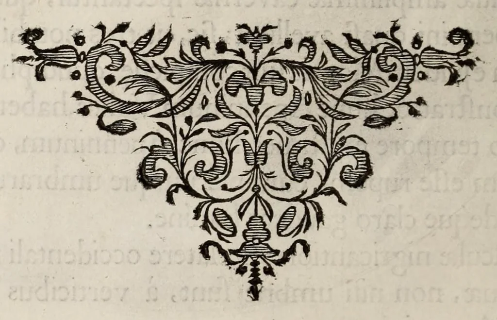 An illustration from Johannis Hevelii Selenographia, sive, Lunae descriptio : atque accurata, tam macularum ejus, quam motuum diversorum, aliarumque omnium vicissitudinum, phasiumque, telescopii ope deprehensarum, delineatio in quâ simul caeterorum omnium planetarum nativa facies, variaeque observationes, praesertim autem macularum solarium, atque jovialium, tubospicillo acquisitae, figuris accuratissimè aeri incisis, sub aspectum ponuntur : nec non quamplurimae astronomicae, opticae, physicaeque quaestiones proponuntur atque resolvuntur : addita est, lentes expoliendi nova ratio : ut et telescopia diversa construendi, et experiendi, horumq; adminiculo, varias observationes coelestes, inprimis quidem eclipsium, cùm solarium, tum lunarium, exquisitè instituendi, itemq diametros stellarum veras, viâ infallibili, determinandi methodus : eoq; quicquid praeterea circa ejusmodi observationes animadverti debet, perspicuè explicatur. --, 1647, leaf 514