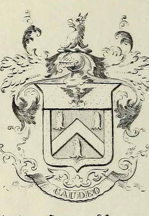 An illustration from Johannis Hilperti, in illustri Julia professoris publici & ordinar. disquisitio de praeadamitis, : anonymo exercitationis & systematis theologici auctori opposita, 1656, leaf 2