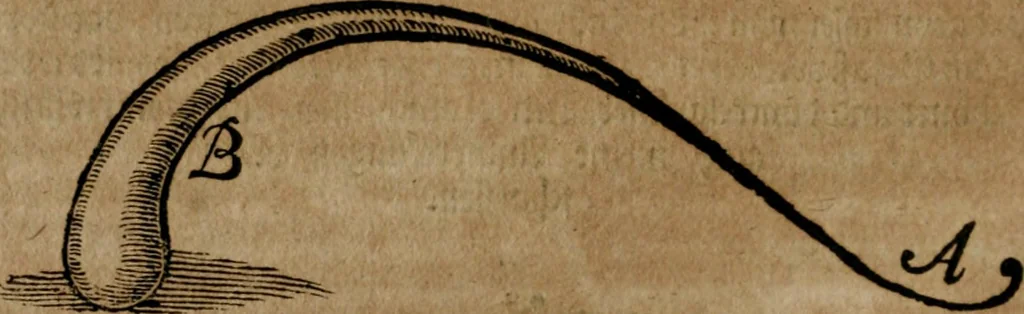 An illustration from Johannis Kunckelii, churfürstl. Brandenb. würcklich bestallt-geheimden Cammer-Dieners, Ars vitraria experimentalis, oder, Vollkommene Glasmacher-Kunst : lehrende, als in einem ... commentario über die ... sieben Bücher P. Anthonii Neri von Florenz, und denen ... Anmerckungen Christophori Merretti ... (so aus den Ital. und Latein. beyde mit Fleiss ins Hochdeutsche übersetzt) die allerkurtz bundigsten Manieren, das reineste Chrystall-Glas, alle gefärbte oder tingirte Gläser, künstliche Edelstein oder Flüsse ... zu machen ... : sampt einem II. Haupt-Thiel, so in drey unterschiedenen Bücher und mehr als 200 Experimenten bestehet, darinnen vom Glasmahlen, Vergulden und Brennen ... Türckisch Pappier, [et]c. ... und viel andere ungemeine Sachen zu machen, gelehret werden : mit einem Anhange von denen Perlen und fast allen natürlichen Edelsteinen .., 1679, leaf 361