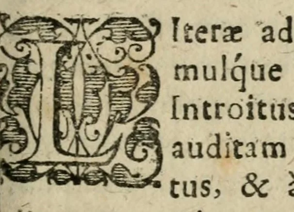 An illustration from Johannis Ottoni Helbigii, Thuringi, philosophi & medicinae doctoris, Introitus in veram atque inauditam physicam : epistola ex India orientali in Europam ad celeberrimam Sacri Romani Imperii Academiam naturae Curiosorum transmissa, apertus, 1680, leaf 57