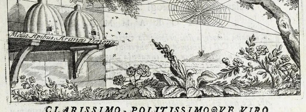 An illustration from Johannis Petri Erici in ejusdem Principio philologico promissa Anthrōpoglōttogonia, sive, Humanae linguae genesis partis primae, tomus primus : ubi de particulis quibusdam, & imprimis de pronominibus tam Graecis, quàm Hebraicis & Latinis : nec non iis, quae his accidunt, agitur : tum diversorum etiam idiomatum glossemata non pauca, quae indagatorem hactenus desiderarunt, evidenti etymologiâ resolvuntur & dilucidantur, 1697, leaf 15
