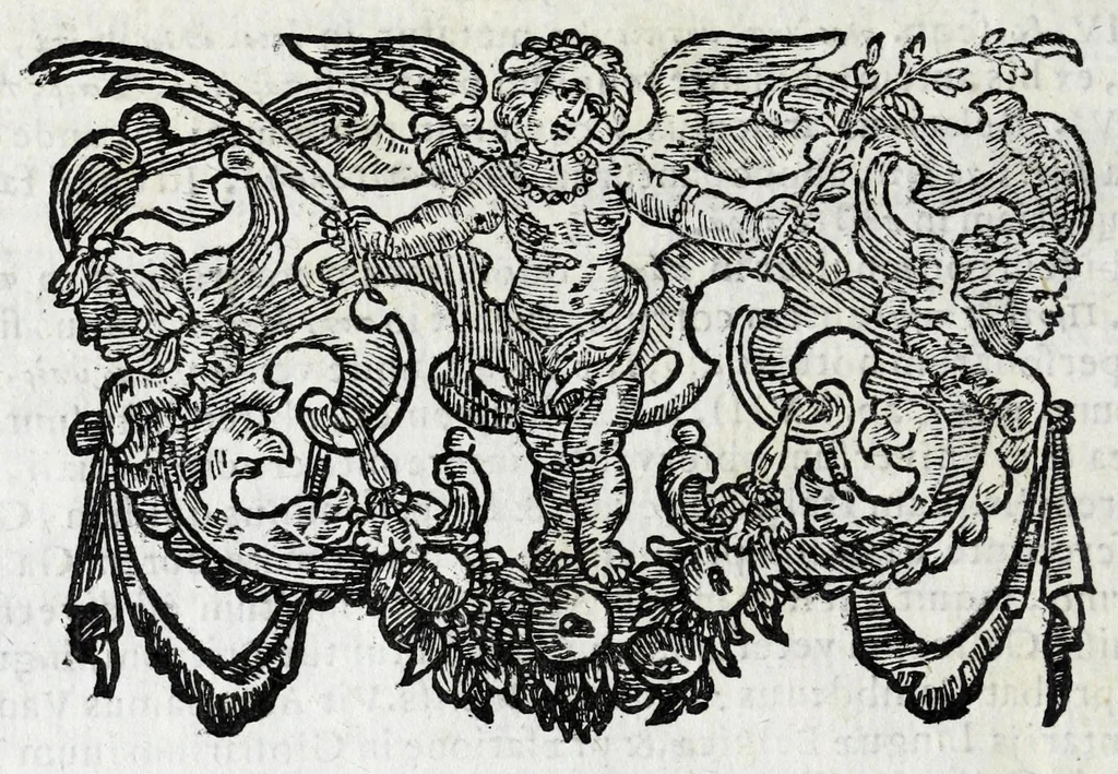 An illustration from Johannis Petri Erici in ejusdem Principio philologico promissa Anthrōpoglōttogonia, sive, Humanae linguae genesis partis primae, tomus primus : ubi de particulis quibusdam, & imprimis de pronominibus tam Graecis, quàm Hebraicis & Latinis : nec non iis, quae his accidunt, agitur : tum diversorum etiam idiomatum glossemata non pauca, quae indagatorem hactenus desiderarunt, evidenti etymologiâ resolvuntur & dilucidantur, 1697, leaf 28
