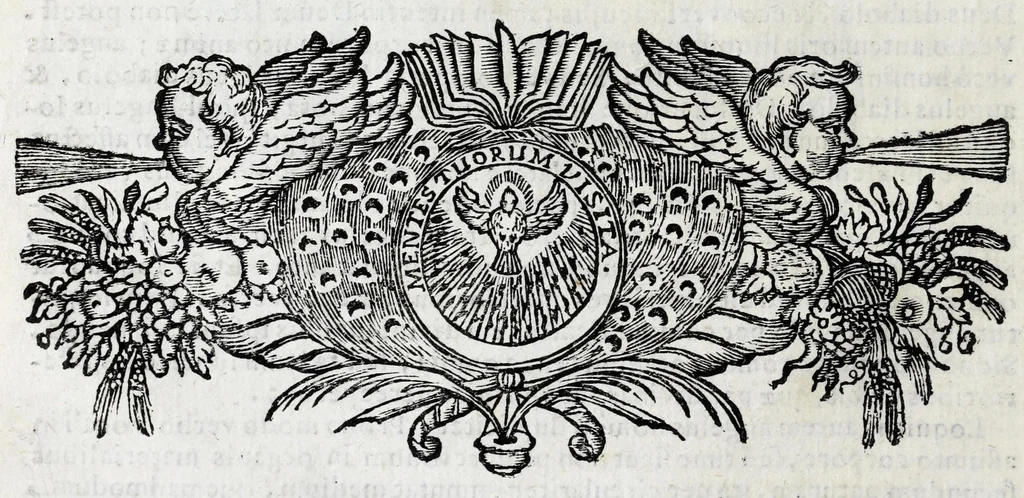An illustration from Johannis Petri Erici in ejusdem Principio philologico promissa Anthrōpoglōttogonia, sive, Humanae linguae genesis partis primae, tomus primus : ubi de particulis quibusdam, & imprimis de pronominibus tam Graecis, quàm Hebraicis & Latinis : nec non iis, quae his accidunt, agitur : tum diversorum etiam idiomatum glossemata non pauca, quae indagatorem hactenus desiderarunt, evidenti etymologiâ resolvuntur & dilucidantur, 1697, leaf 30