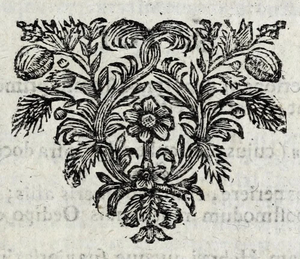 An illustration from Johannis Petri Erici in ejusdem Principio philologico promissa Anthrōpoglōttogonia, sive, Humanae linguae genesis partis primae, tomus primus : ubi de particulis quibusdam, & imprimis de pronominibus tam Graecis, quàm Hebraicis & Latinis : nec non iis, quae his accidunt, agitur : tum diversorum etiam idiomatum glossemata non pauca, quae indagatorem hactenus desiderarunt, evidenti etymologiâ resolvuntur & dilucidantur, 1697, leaf 73