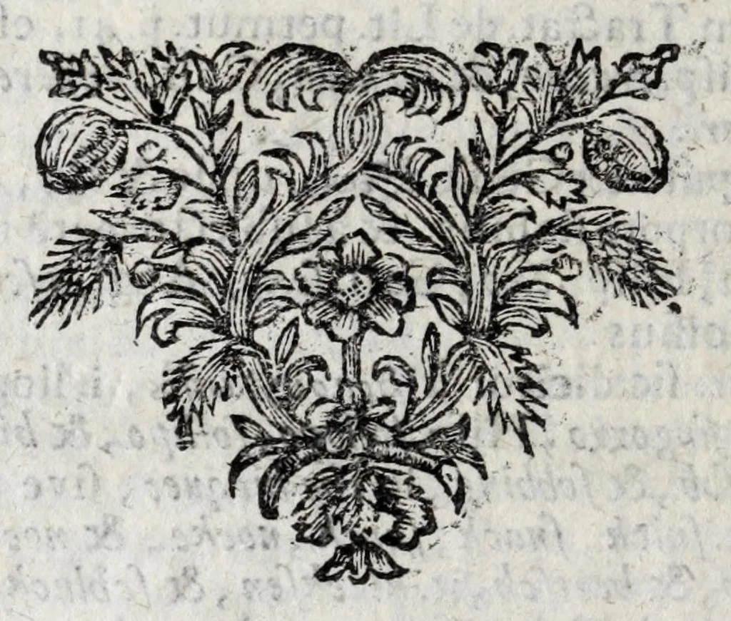 An illustration from Johannis Petri Erici in ejusdem Principio philologico promissa Anthrōpoglōttogonia, sive, Humanae linguae genesis partis primae, tomus primus : ubi de particulis quibusdam, & imprimis de pronominibus tam Graecis, quàm Hebraicis & Latinis : nec non iis, quae his accidunt, agitur : tum diversorum etiam idiomatum glossemata non pauca, quae indagatorem hactenus desiderarunt, evidenti etymologiâ resolvuntur & dilucidantur, 1697, leaf 98