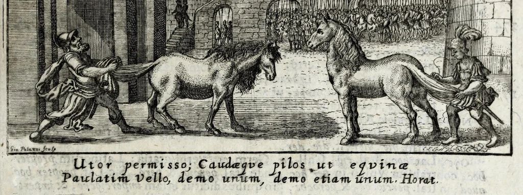 An illustration from Johannis Petri Erici in ejusdem Principio philologico promissa Anthrōpoglōttogonia, sive, Humanae linguae genesis partis primae, tomus primus : ubi de particulis quibusdam, & imprimis de pronominibus tam Graecis, quàm Hebraicis & Latinis : nec non iis, quae his accidunt, agitur : tum diversorum etiam idiomatum glossemata non pauca, quae indagatorem hactenus desiderarunt, evidenti etymologiâ resolvuntur & dilucidantur, 1697, leaf 99