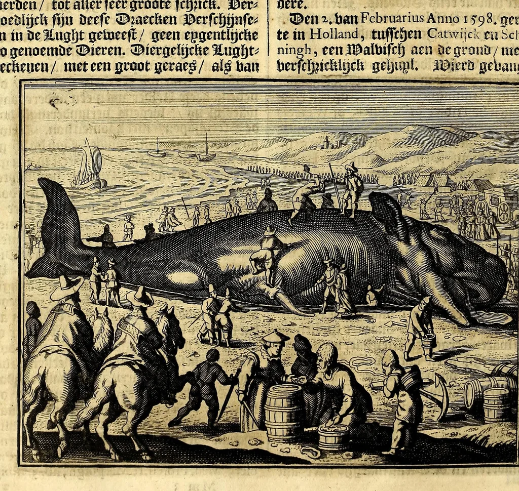 An illustration from Joh[ann] Lodew[ijck] Gottfrieds Historische kronyck; : vervattende een nauwkeurige en volkomene beschrijvingh der aldergedenck waerdigste geschiedenissen des weerelds, van den aenvangh der Scheppingh tot op't jaer Christi 1576. In een nette ordre gebragt na de verdeelingh der vier monarchien, en de bondighste jaer-rekeningh. Op nieuws vertaeld na den derden vermeerderden druck, met byvoegingh van de Historie der Reformatie in Duytschland: en een volkoomen bladwijser aller voornaemste saecken,, 1698, leaf 296
