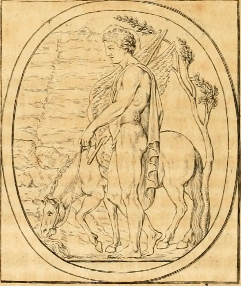An illustration from Johann Winckelmanns, präsidentens der Alterthümer zu Rom ... Geschichte der Kunst des Alterthums, 1764, leaf 11