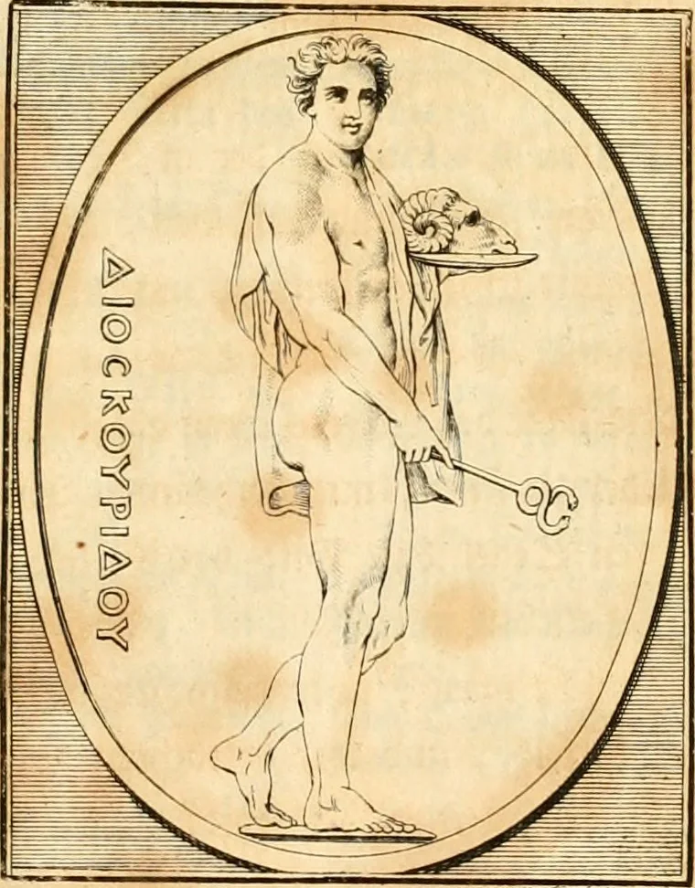 An illustration from Johann Winckelmanns, präsidentens der Alterthümer zu Rom ... Geschichte der Kunst des Alterthums, 1764, leaf 486