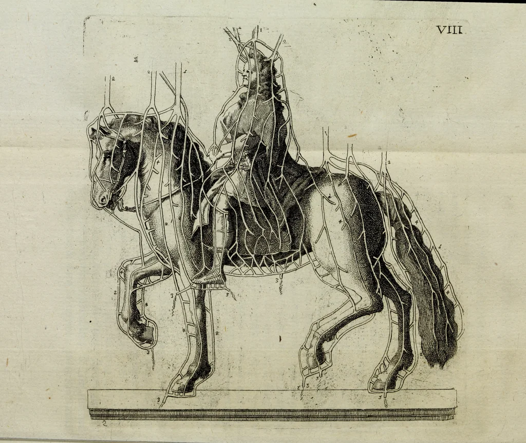 An illustration from Joh. Caspar Füesslins Geschichte der besten Künstler in der Schweitz : nebst ihren Bildnissen, 1769, leaf 411