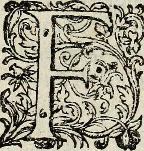 An illustration from Joh. Christophori Wagenseilii De Sacri rom. imperii libera Civitate noribergensi commentatio. Accedit, De Germaniæ, phonascorvm, Von der meister-singer, 1697, leaf 14