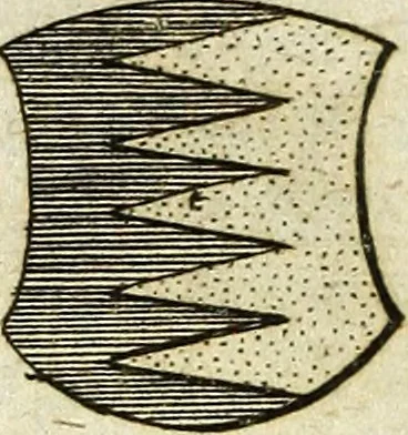 An illustration from Joh. Christophori Wagenseilii De Sacri rom. imperii libera Civitate noribergensi commentatio. Accedit, De Germaniæ, phonascorvm, Von der meister-singer, 1697, leaf 207