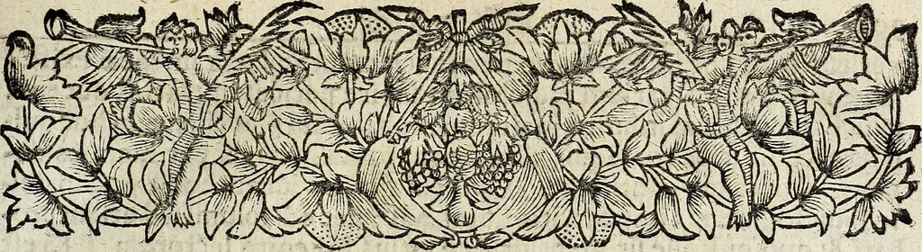 An illustration from Joh. Christophori Wagenseilii De Sacri rom. imperii libera Civitate noribergensi commentatio. Accedit, De Germaniæ, phonascorvm, Von der meister-singer, 1697, leaf 428
