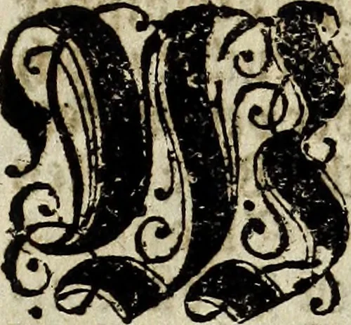 An illustration from Joh. Christophori Wagenseilii De Sacri rom. imperii libera Civitate noribergensi commentatio. Accedit, De Germaniæ, phonascorvm, Von der meister-singer, 1697, leaf 8