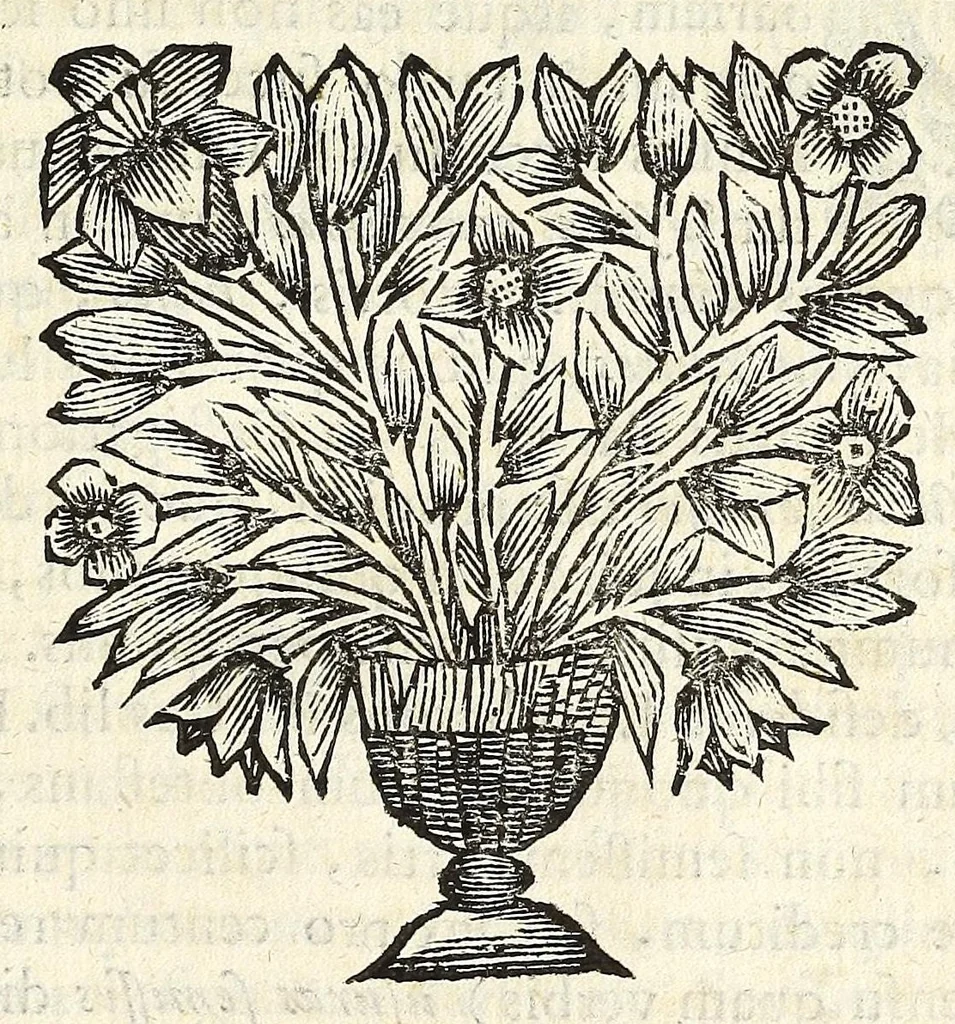 An illustration from Joh. Frederici Gronovii De sestertiis, seu, Subsecivorum pecuniae veteris Graecae & Romanae libri IV .., 1691, leaf 539