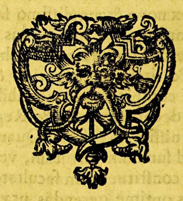 An illustration from Joh. Isacii Pontani Discussionum historicarum libri duo. : quibus præcipuè quatenus & quodnam mare liberum vel non liberum clausumque accipiendum dispicitur expenditurque. ; Accedit, præter alia, Casparis Varrerii Lusitani De Ophyra regione & ad eam navigatione commentarius, 1637, leaf 290