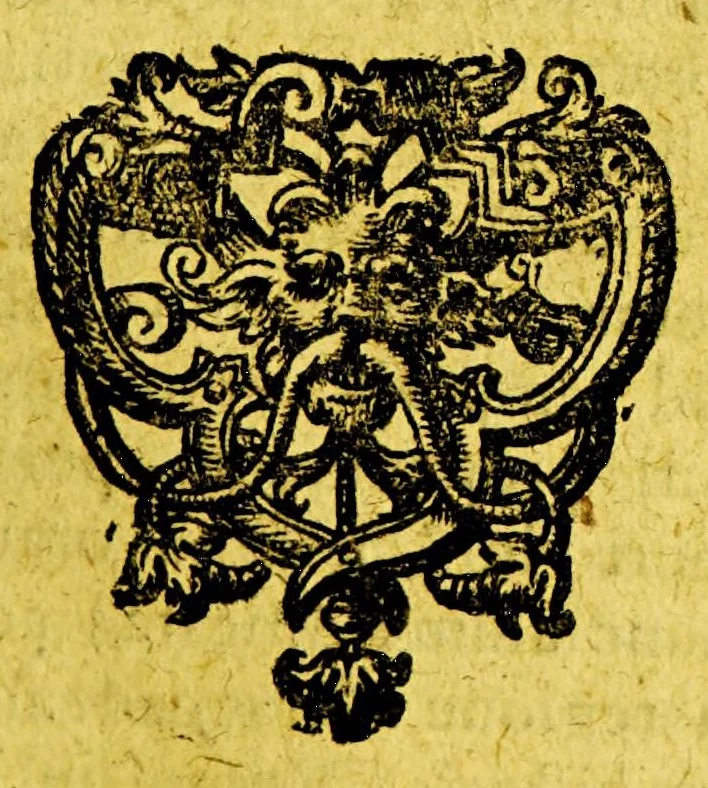 An illustration from Joh. Isacii Pontani Discussionum historicarum libri duo. : quibus præcipuè quatenus & quodnam mare liberum vel non liberum clausumque accipiendum dispicitur expenditurque. ; Accedit, præter alia, Casparis Varrerii Lusitani De Ophyra regione & ad eam navigatione commentarius, 1637, leaf 293