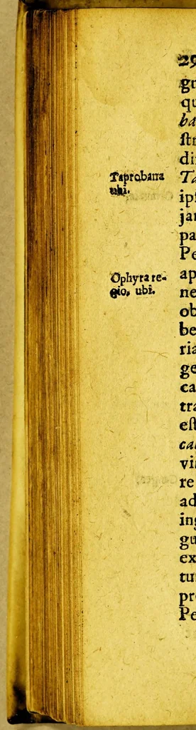 An illustration from Joh. Isacii Pontani Discussionum historicarum libri duo. : quibus præcipuè quatenus & quodnam mare liberum vel non liberum clausumque accipiendum dispicitur expenditurque. ; Accedit, præter alia, Casparis Varrerii Lusitani De Ophyra regione & ad eam navigatione commentarius, 1637, leaf 308