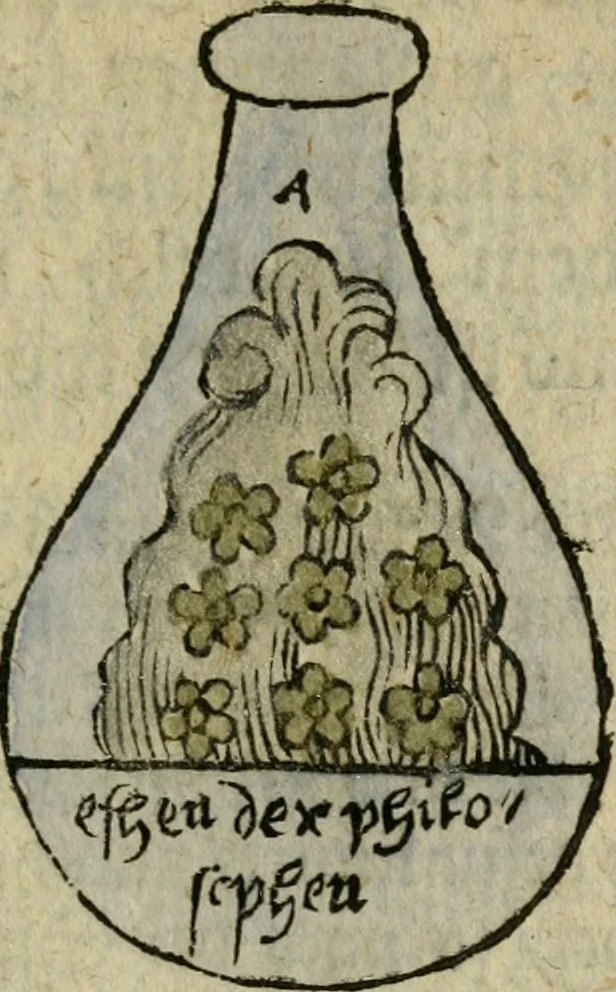 An illustration from Joh. Michaelis Faustij ... Compendium alchymist. novum, sive, Pandora explicata & figuris jllustrata, das ist, Die edelste Gabe Gottes, oder, Ein güldener Schatz : mit welchem die alten und neuen Philosophi, die unvollkommene Metall, durch Gewalt des Feuers verbessert, und allerhand schädliche und unheylsame Kranckheiten innerlich und äusserlich, durch deren Würckung vertrieben haben : dieser Edition wird annoch, nebst vielen Kupffern und über 800 Philosophischen Anmerckungen, ein volkomenes Lexicon alchymisticum novum, und ein vollständiges Register rerum & verborum, beygefüget, 1706, leaf 366