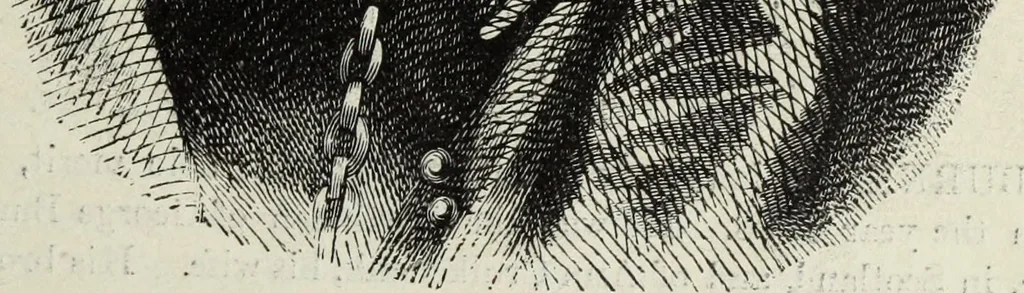 An illustration from John Cassell's Art treasures exhibition: containing engravings of the principal masterpieces of the English, Dutch, Flemish, French, and German schools, 1858, leaf 158
