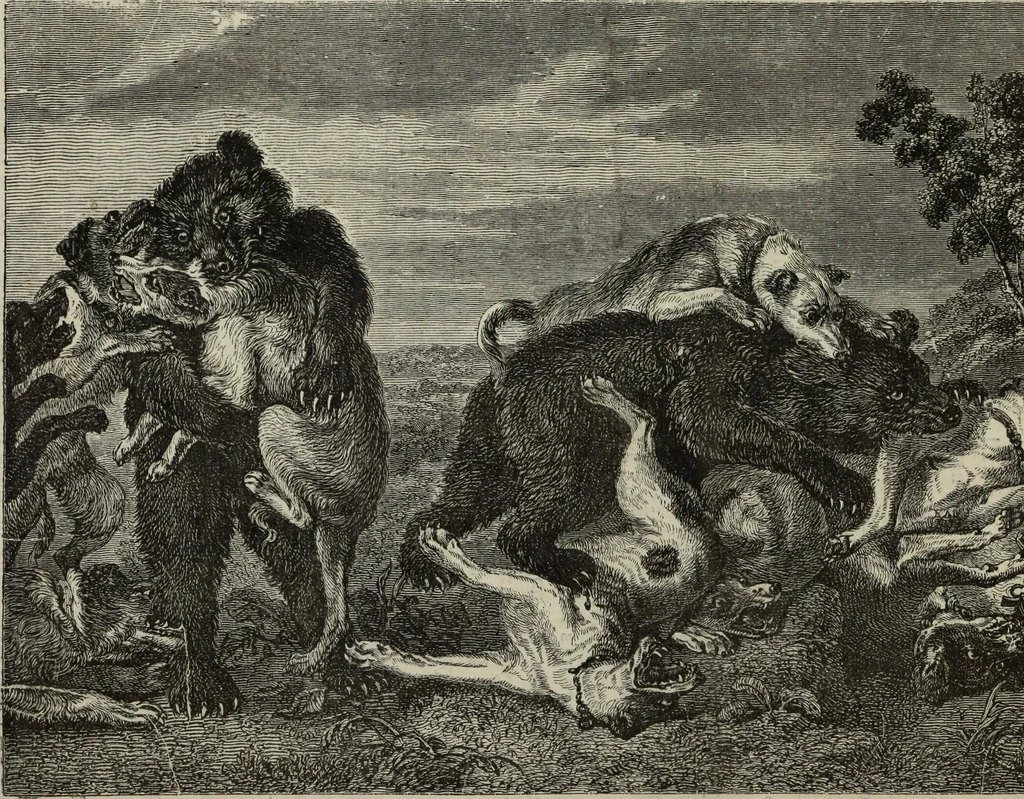 An illustration from John Cassell's Art treasures exhibition: containing engravings of the principal masterpieces of the English, Dutch, Flemish, French, and German schools, 1858, leaf 229