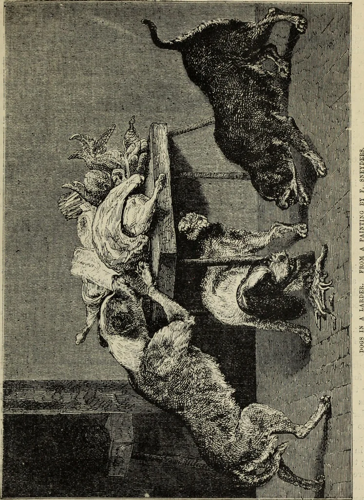 An illustration from John Cassell's Art treasures exhibition: containing engravings of the principal masterpieces of the English, Dutch, Flemish, French, and German schools, 1858, leaf 230