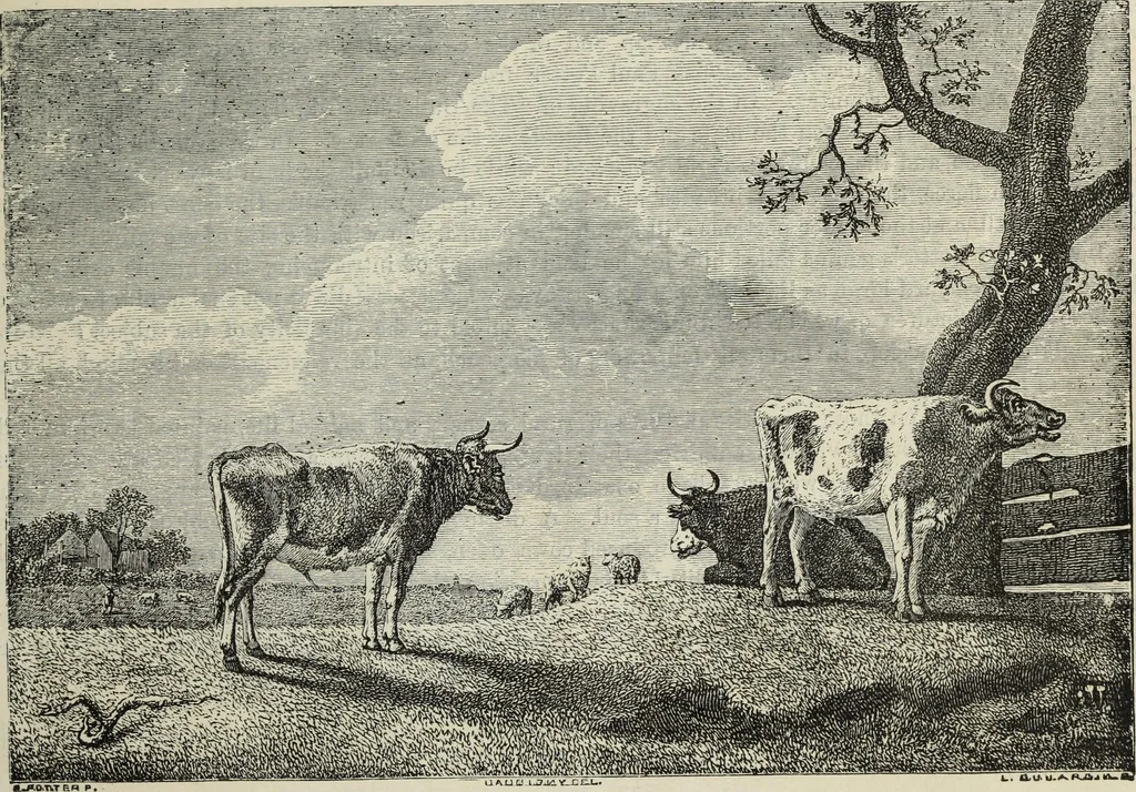 An illustration from John Cassell's Art treasures exhibition: containing engravings of the principal masterpieces of the English, Dutch, Flemish, French, and German schools, 1858, leaf 278