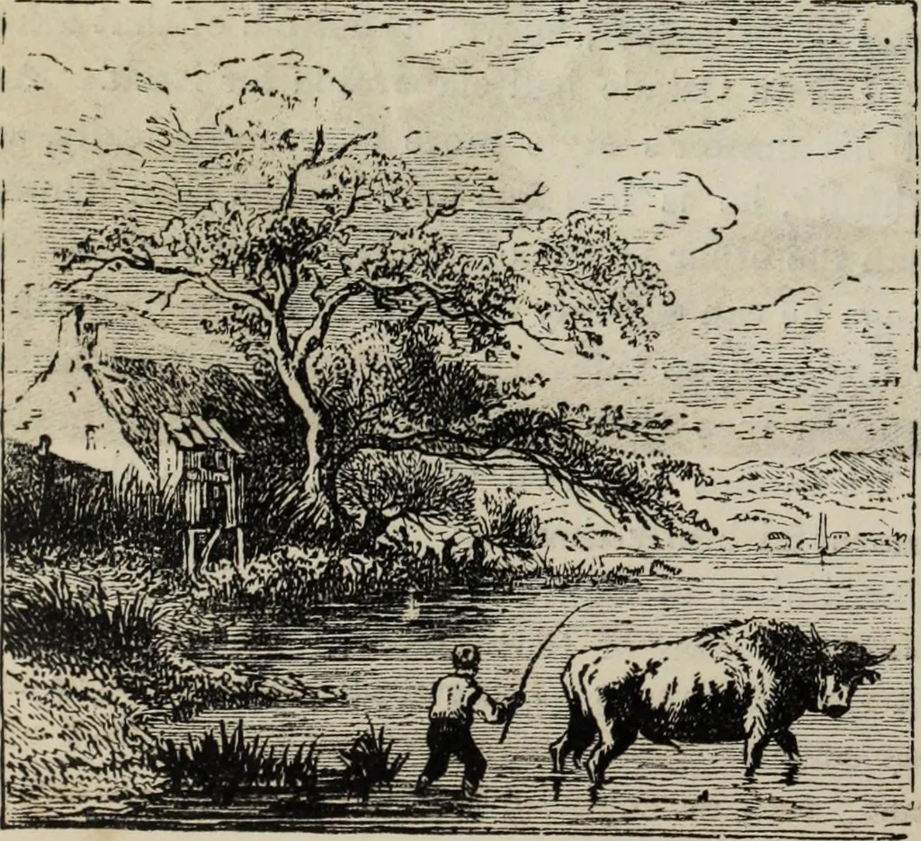 An illustration from John Cassell's Art treasures exhibition: containing engravings of the principal masterpieces of the English, Dutch, Flemish, French, and German schools, 1858, leaf 325