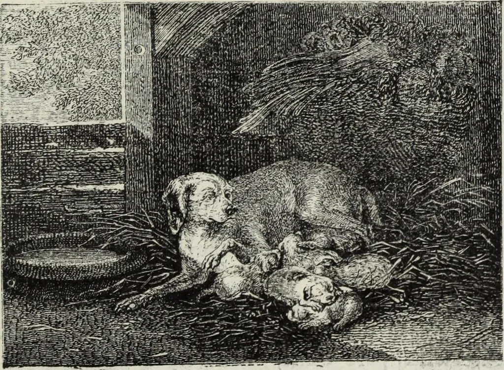 An illustration from John Cassell's Art treasures exhibition: containing engravings of the principal masterpieces of the English, Dutch, Flemish, French, and German schools, 1858, leaf 446