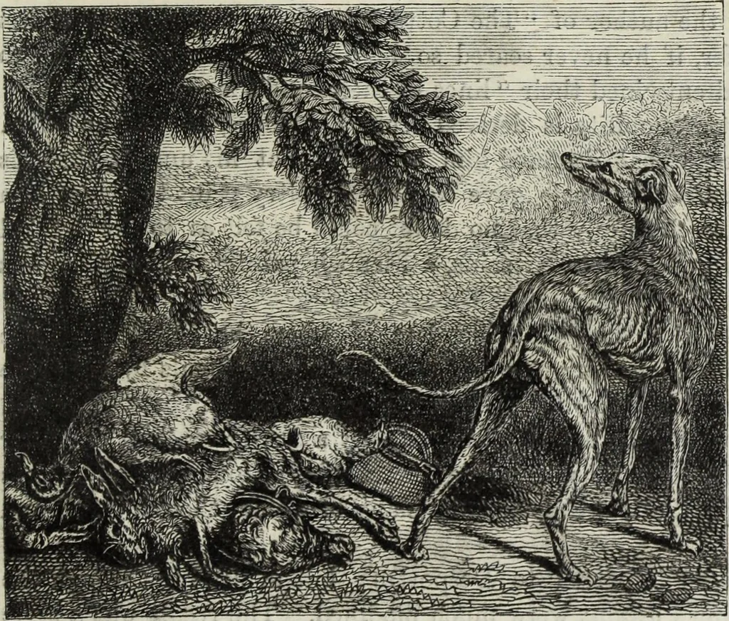 An illustration from John Cassell's Art treasures exhibition: containing engravings of the principal masterpieces of the English, Dutch, Flemish, French, and German schools, 1858, leaf 462