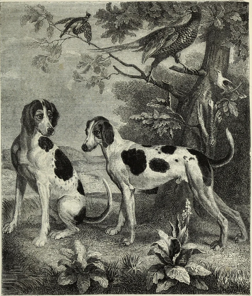 An illustration from John Cassell's Art treasures exhibition: containing engravings of the principal masterpieces of the English, Dutch, Flemish, French, and German schools, 1858, leaf 466