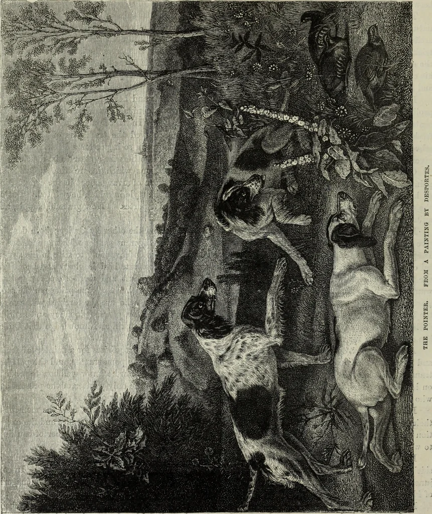 An illustration from John Cassell's Art treasures exhibition: containing engravings of the principal masterpieces of the English, Dutch, Flemish, French, and German schools, 1858, leaf 469