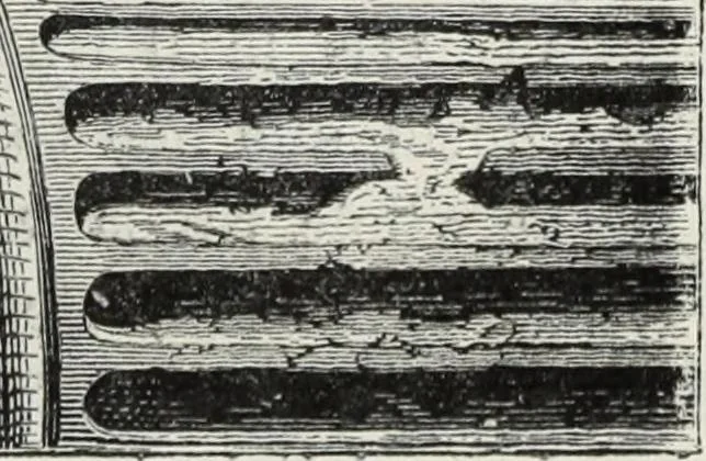An illustration from John Cassell's Art treasures exhibition: containing engravings of the principal masterpieces of the English, Dutch, Flemish, French, and German schools, 1858, leaf 478