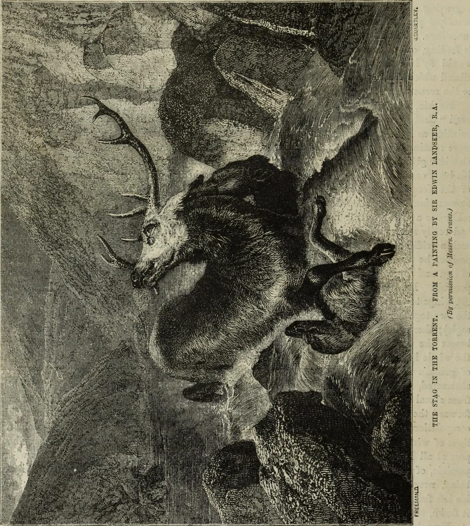 An illustration from John Cassell's Art treasures exhibition: containing engravings of the principal masterpieces of the English, Dutch, Flemish, French, and German schools, 1858, leaf 53