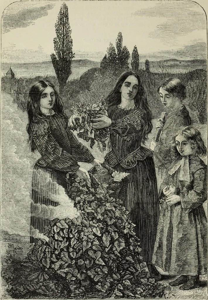 An illustration from John Cassell's Art treasures exhibition: containing engravings of the principal masterpieces of the English, Dutch, Flemish, French, and German schools, 1858, leaf 61