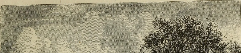 An illustration from John Cassell's Art treasures exhibition: containing engravings of the principal masterpieces of the English, Dutch, Flemish, French, and German schools, 1858, leaf 98