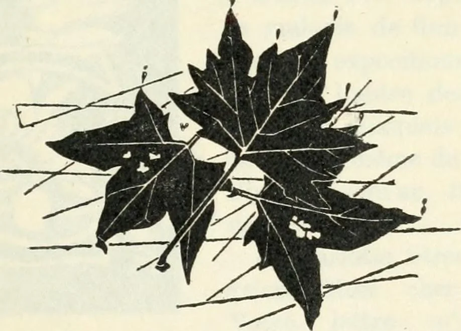 An illustration from John Constable d'après les souvenirs, 1905, leaf 160