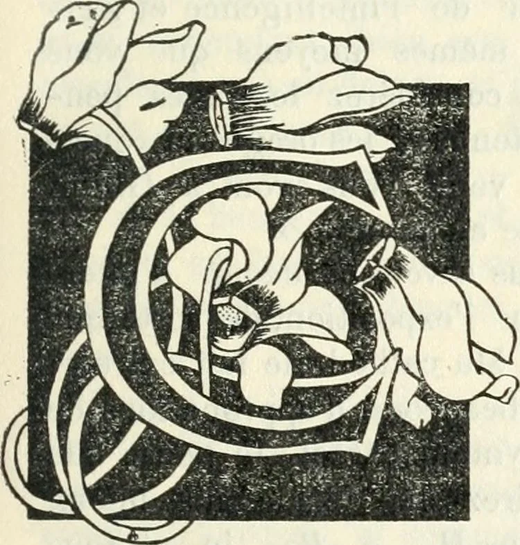 An illustration from John Constable d'après les souvenirs, 1905, leaf 162