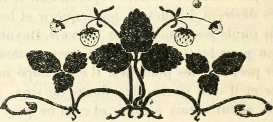An illustration from John Constable d'après les souvenirs, 1905, leaf 201