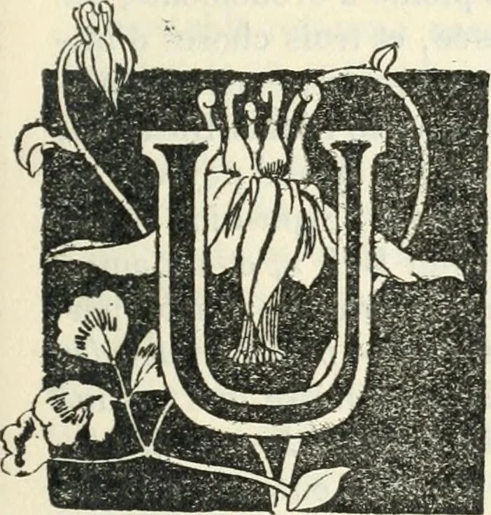 An illustration from John Constable d'après les souvenirs, 1905, leaf 232