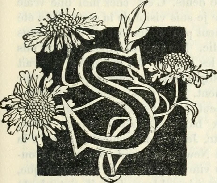 An illustration from John Constable d'après les souvenirs, 1905, leaf 248