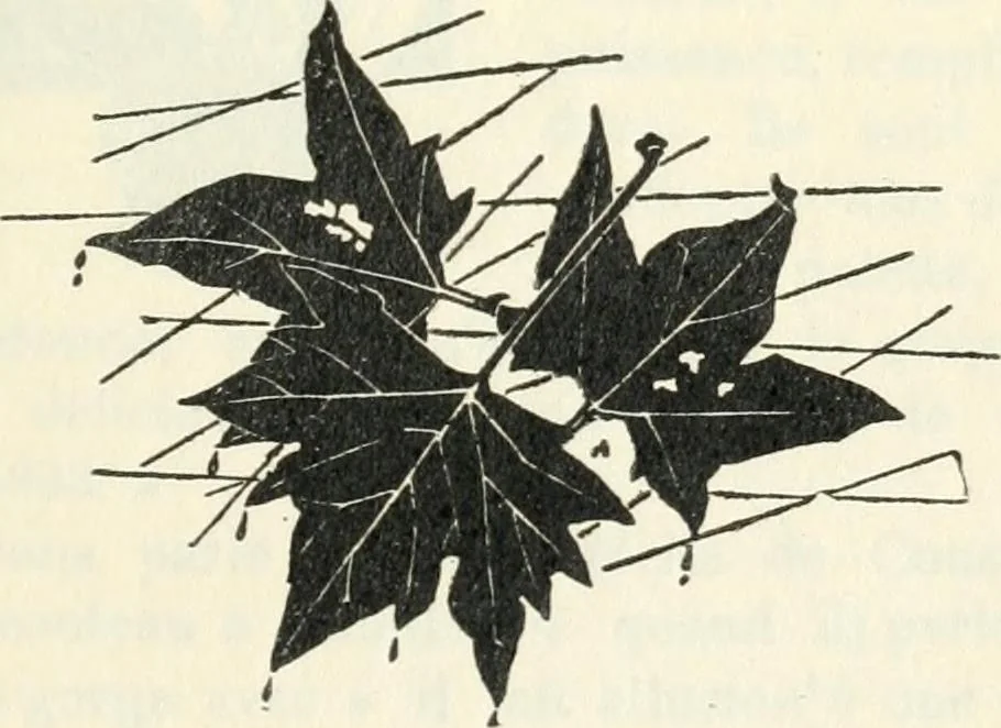 An illustration from John Constable d'après les souvenirs, 1905, leaf 282