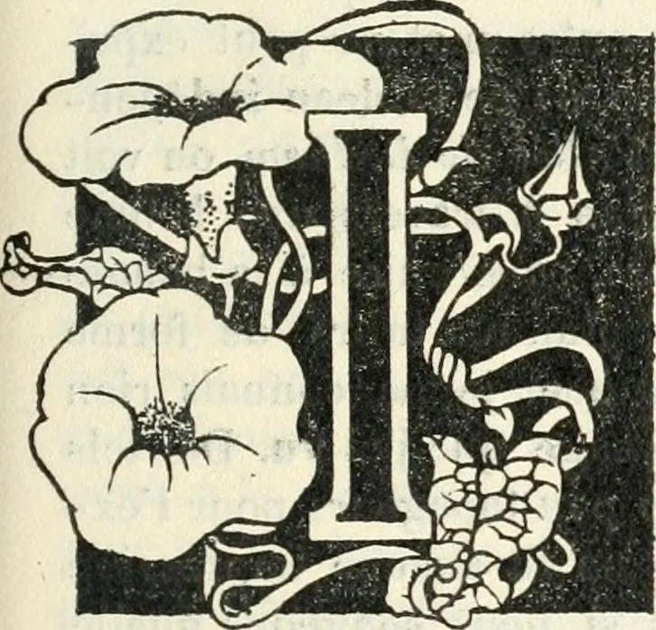 An illustration from John Constable d'après les souvenirs, 1905, leaf 88