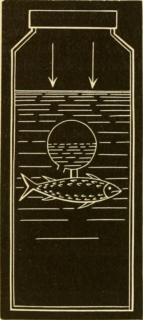 An illustration from Johnson's natural philosophy and key to philosophical charts : illustrated with 500 cuts; being reduced photographic copies of all the diagrams contained in the author's philosophical series of indestructible school charts ; for the use of schools and families, 1878, leaf 101