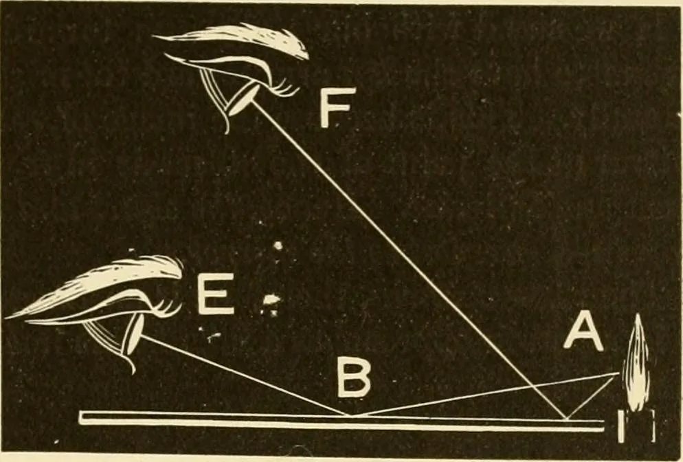 An illustration from Johnson's natural philosophy and key to philosophical charts : illustrated with 500 cuts; being reduced photographic copies of all the diagrams contained in the author's philosophical series of indestructible school charts ; for the use of schools and families, 1878, leaf 214