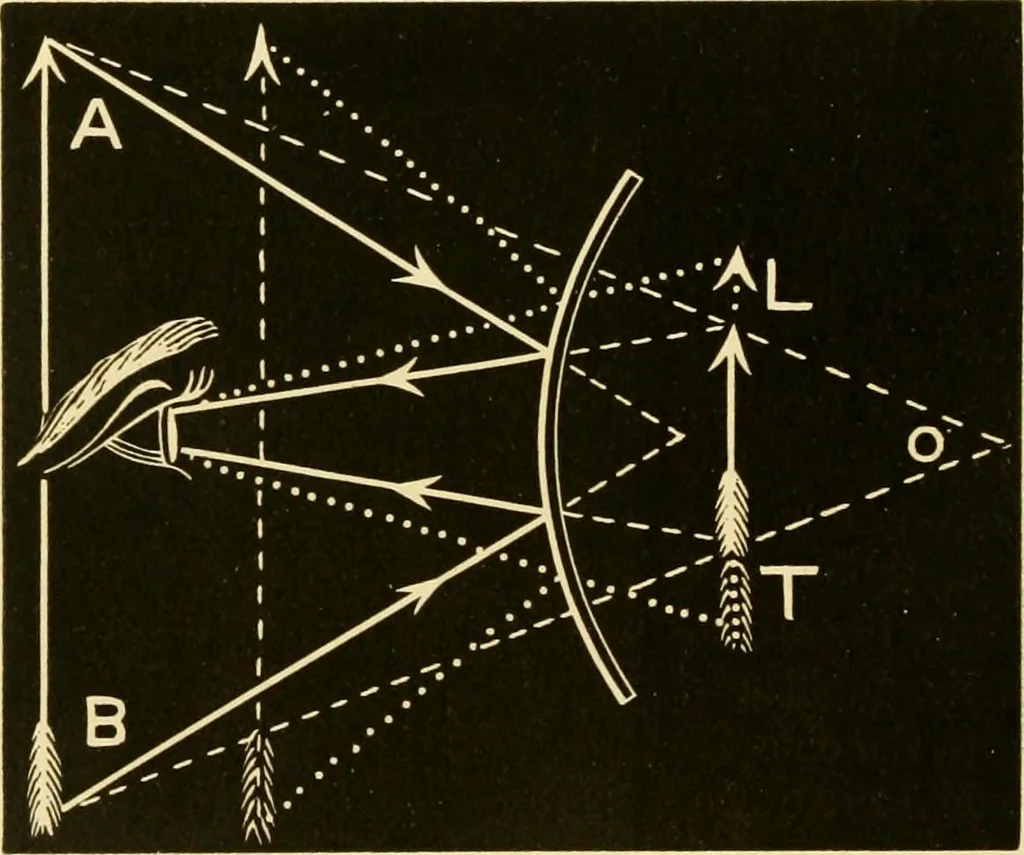 An illustration from Johnson's natural philosophy and key to philosophical charts : illustrated with 500 cuts; being reduced photographic copies of all the diagrams contained in the author's philosophical series of indestructible school charts ; for the use of schools and families, 1878, leaf 219