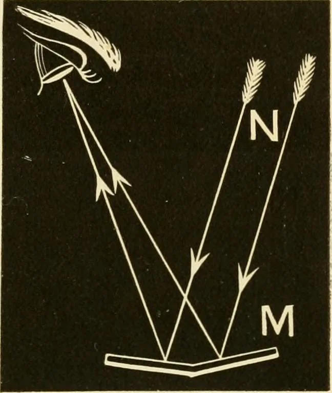 An illustration from Johnson's natural philosophy and key to philosophical charts : illustrated with 500 cuts; being reduced photographic copies of all the diagrams contained in the author's philosophical series of indestructible school charts ; for the use of schools and families, 1878, leaf 220