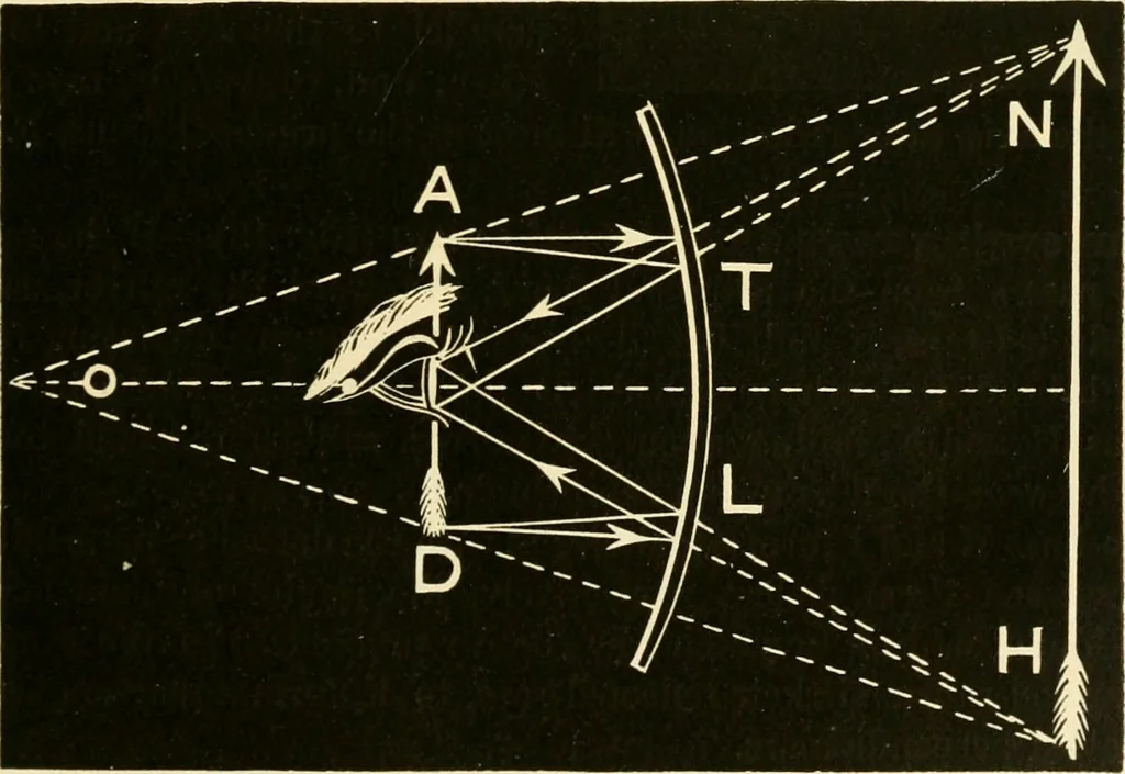 An illustration from Johnson's natural philosophy and key to philosophical charts : illustrated with 500 cuts; being reduced photographic copies of all the diagrams contained in the author's philosophical series of indestructible school charts ; for the use of schools and families, 1878, leaf 220