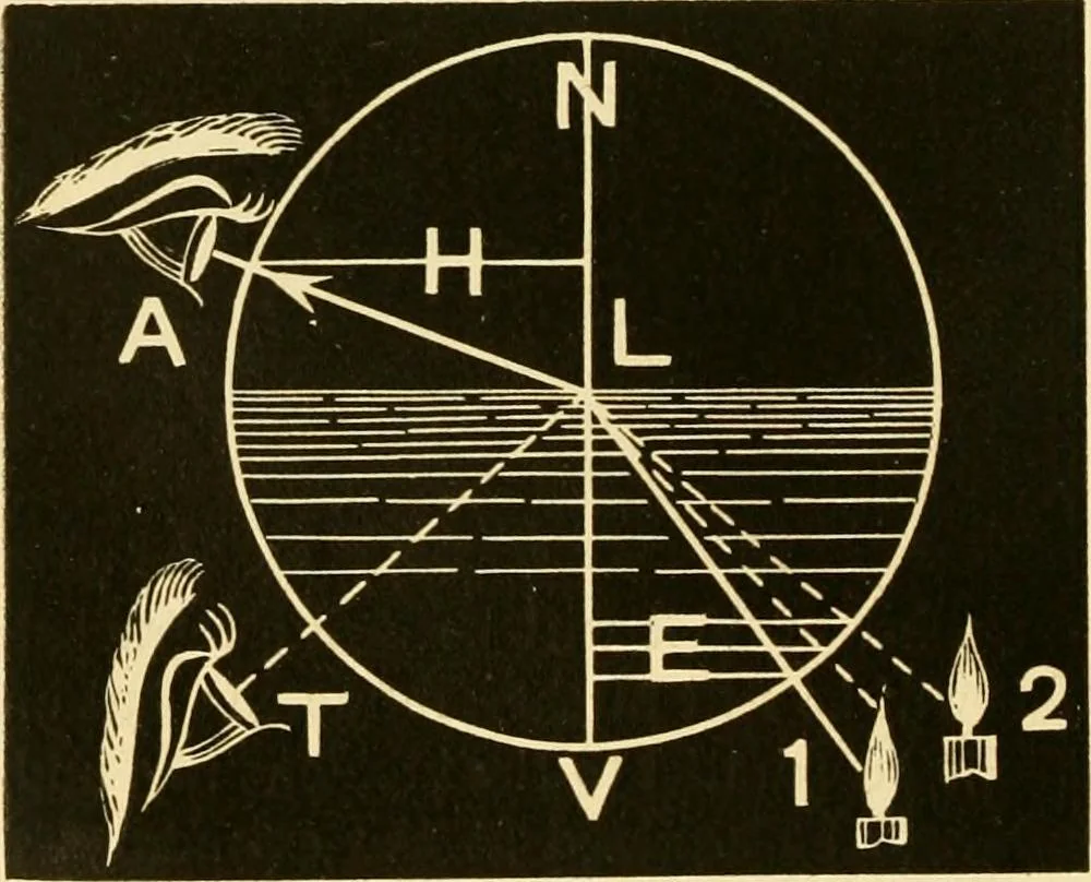 An illustration from Johnson's natural philosophy and key to philosophical charts : illustrated with 500 cuts; being reduced photographic copies of all the diagrams contained in the author's philosophical series of indestructible school charts ; for the use of schools and families, 1878, leaf 227